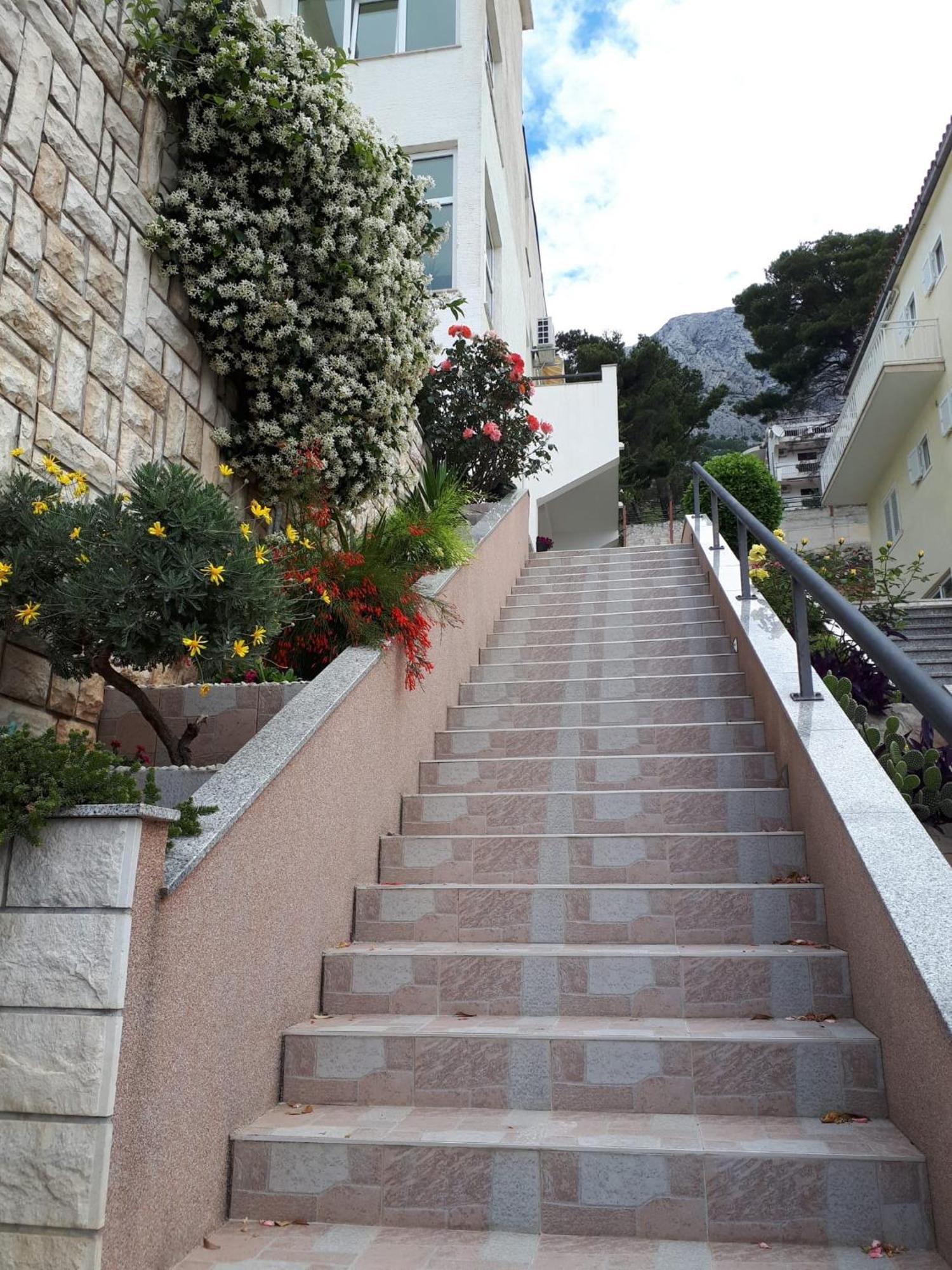Apartments Matic Baška Voda Dış mekan fotoğraf